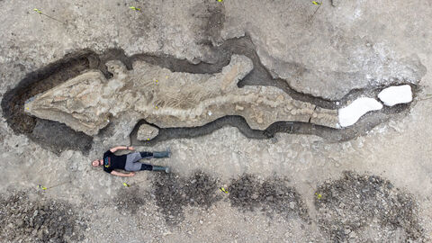 Caption: Sea Dragon Credit: Anglian Water