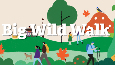 Big Wild Walk credit LRWT