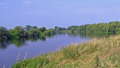 Attenborough Nature Reserve