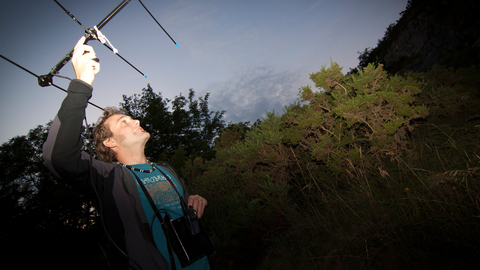 Surveying Bats (c) Tom Marshall