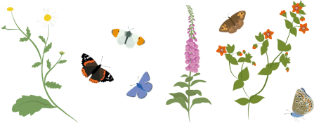 Pollinators and flowers illustration