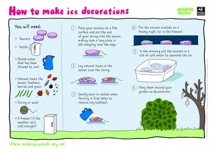 Ice Decorations Wildlife Watch Activity Sheets