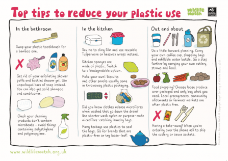 Reducing Plastic Wildlife Watch