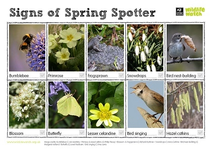 Spring spotter sheet