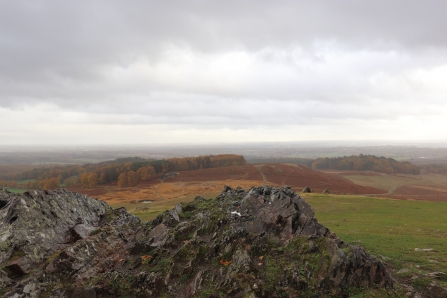 Bradgate Park