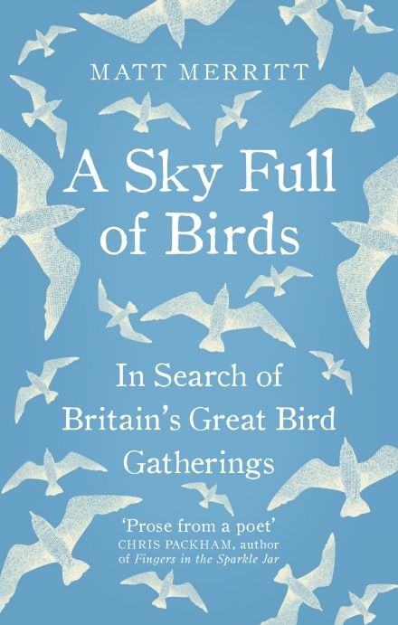 A sky full of birds book cover