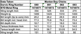 Biometric Data for Manton Bay chicks