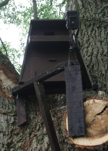 Barn owl box