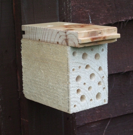 Solitary bee hotel