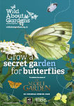 Grow a secret garden for butterflies