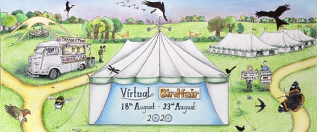 Virtual birdair