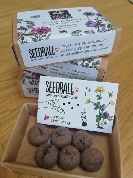 Seedballs