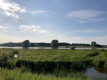 View from Waderscrape Hide