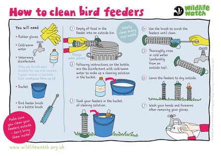 Clean bird feeders
