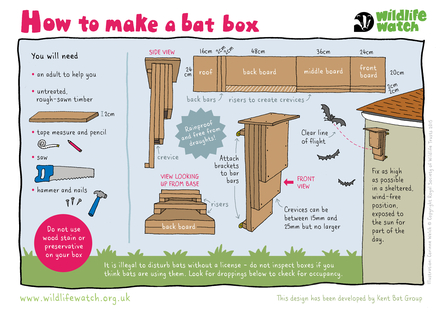 How to make a bat box activity sheet