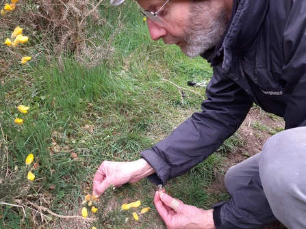 Volunteer Andrew using his bee revival kit