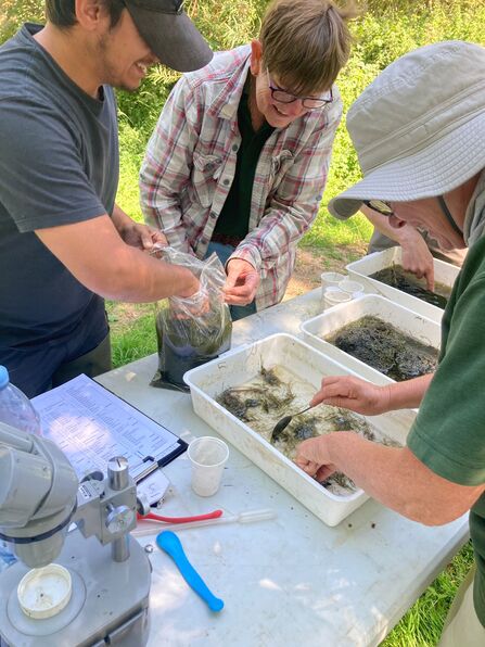 Adults pond dipping and examining the finds