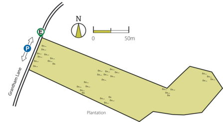 Bloody Oaks Quarry Map