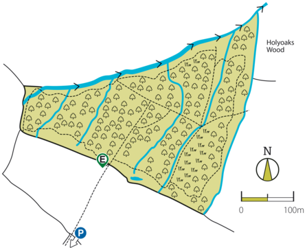 Great Merrible Wood Map