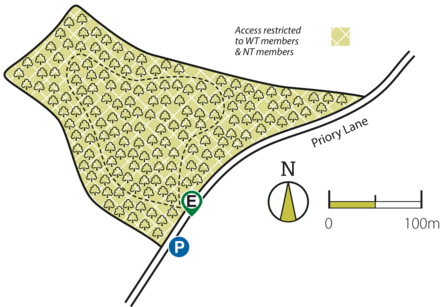 Rocky Plantation Map