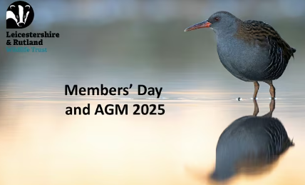2025 AGM front page