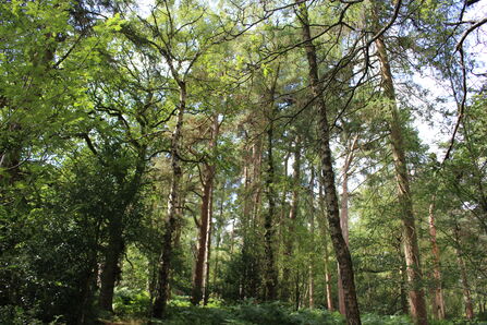 Charnwood Lodge - credit LRWT