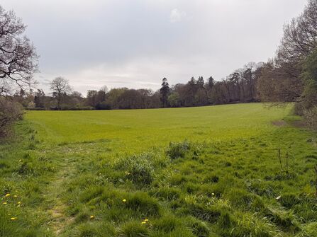 Charley Wood - credit Tim Sexton