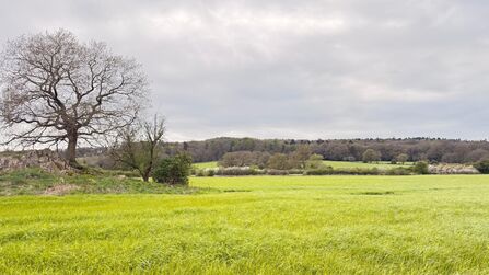 Charley Wood - Credit LRWT 