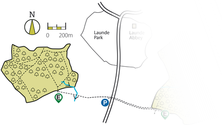 Launde Big Wood Map