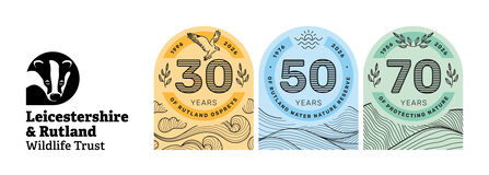 LRWT 2026 Anniversary logos