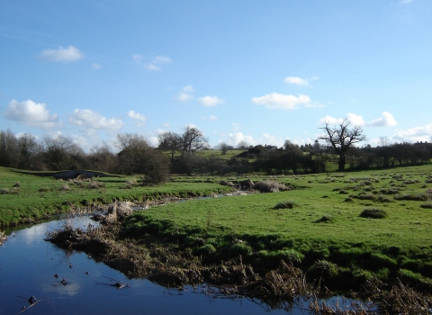 Croft Pasture (c) LRWT