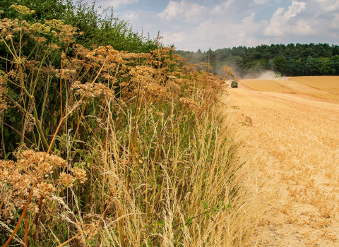 Jordan's Farm (c) Mathew Roberts
