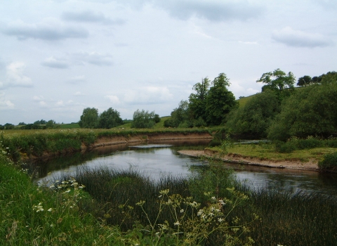 Loughborough Big Meadow (C) LRWT