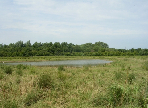 Mountsorrel Meadows (C) LRWT