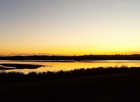 Rutland Water