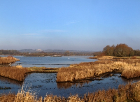 Rutland Water