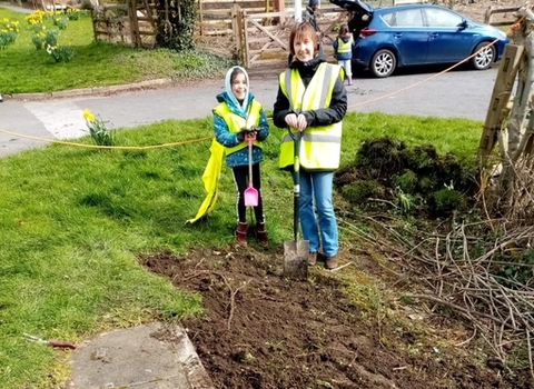 Planting Wildflowers 