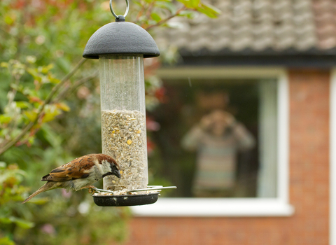 Bird feeder - Ben Hall/2020VISION