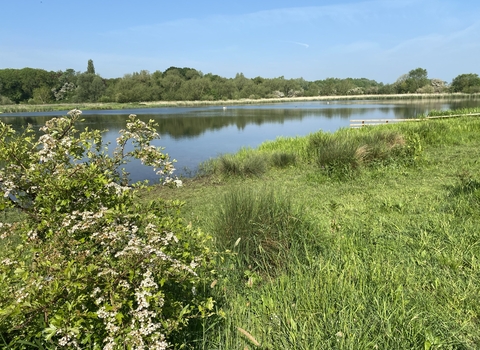 Cossington Meadows