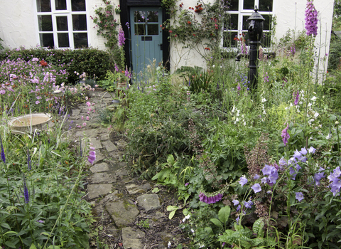 wildlife friendly gardening