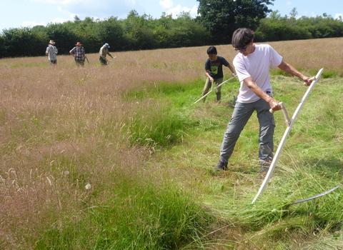 Scything in Charnwood