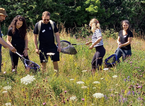 Group of people surveying in a meadow