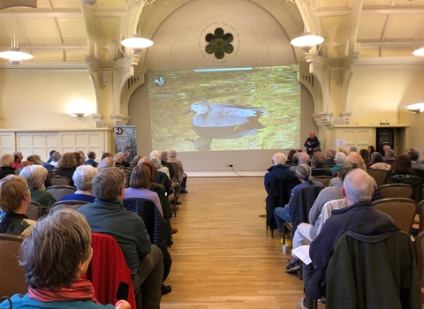 AGM 9