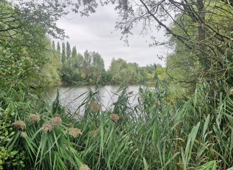 A picture of Syston Lakes Nature Reserve