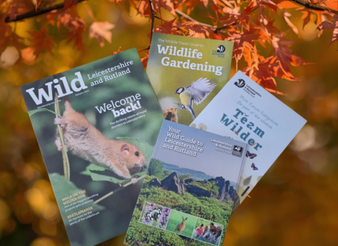 Autumn 25 Membership pack - LRWT