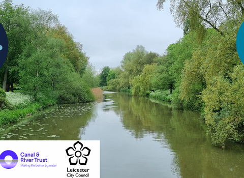 Restoring the Soar