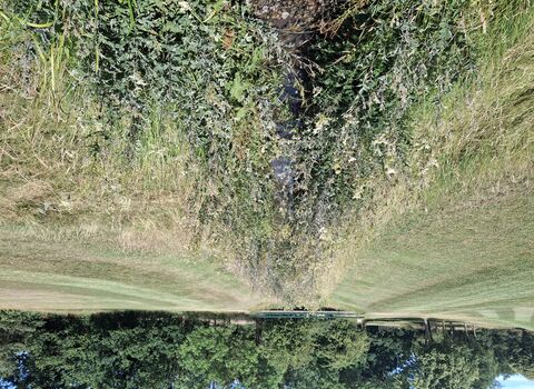 The Evington Brook