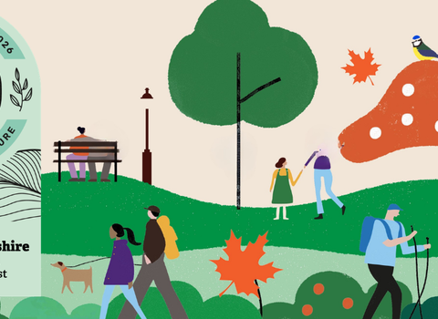 Illustrated autumnal scene sign posting the Big Wild Walk webpage