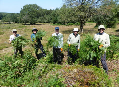 Volunteers in a line holding bracken
