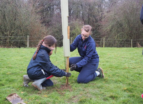 Two people tree planting at the James Adler Nature Reserve
